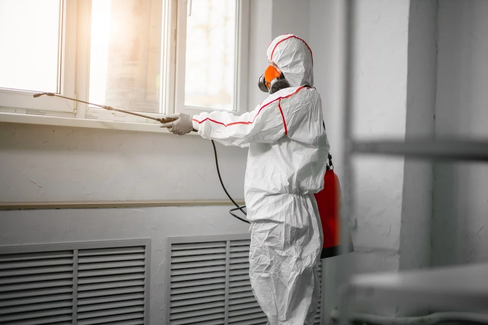 Professional mold remediation services in Copiague, NY